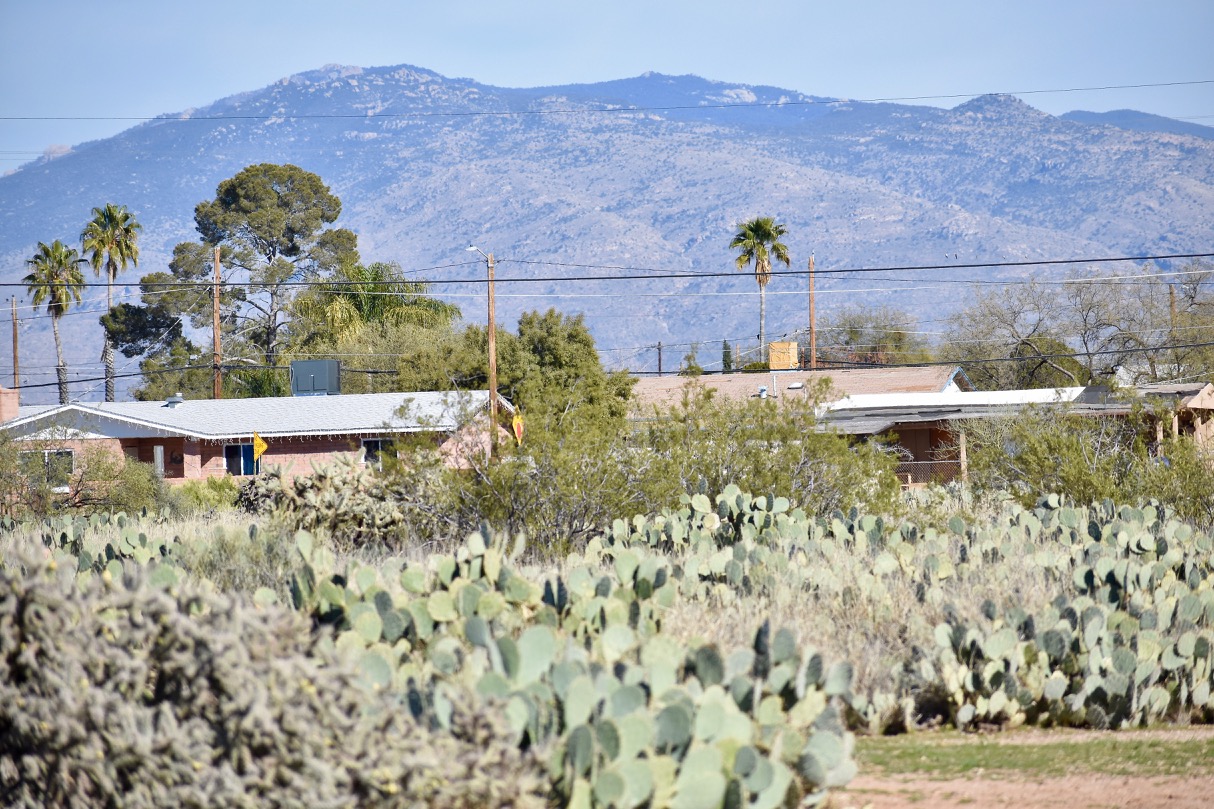 Catalina mountains